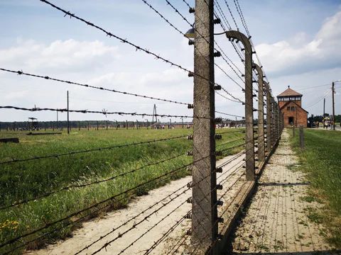 From Krakow: Auschwitz-Birkenau Guided Tour & Hotel Pickup
