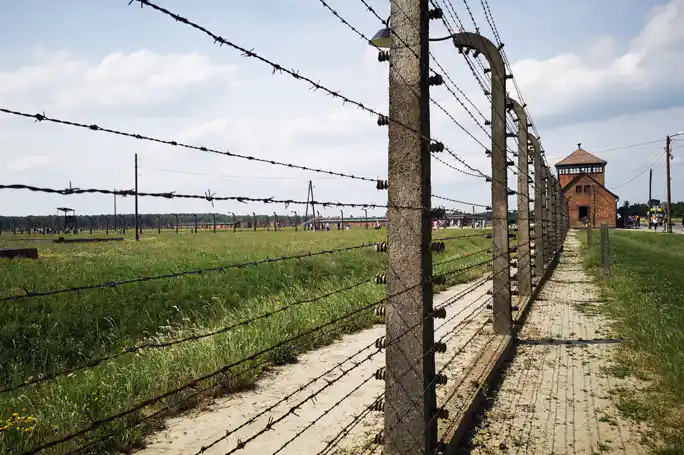 From Krakow: Auschwitz-Birkenau Guided Tour & Hotel Pickup