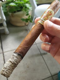 Cigar Session Photo