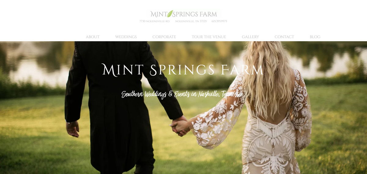 Screenshot of Mint Springs Farm, from the wix websites collection.