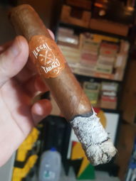 Nice ash