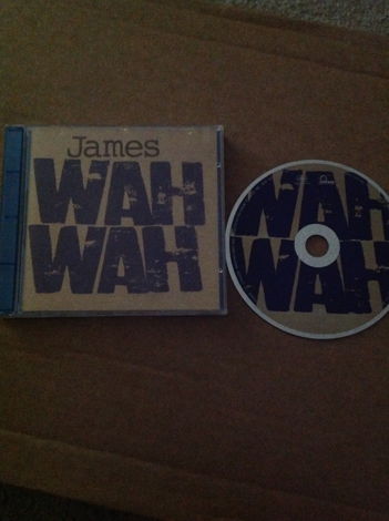 James - Wah Wah Brian Eno Producer Mercury Records Comp...