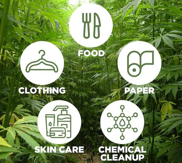 products of hemp