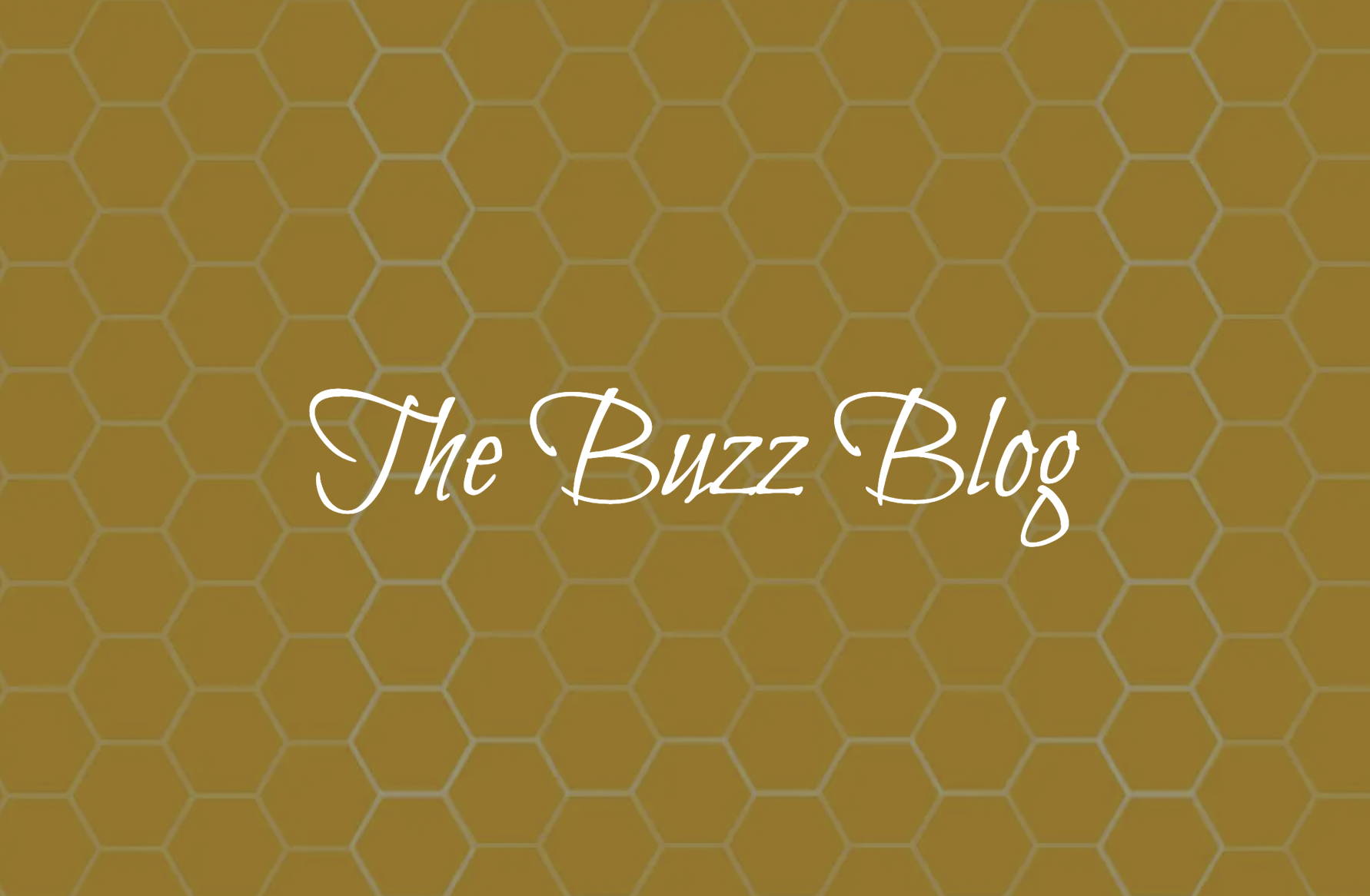 The Buzz Blog – Honeycomb Kitchen Shop
