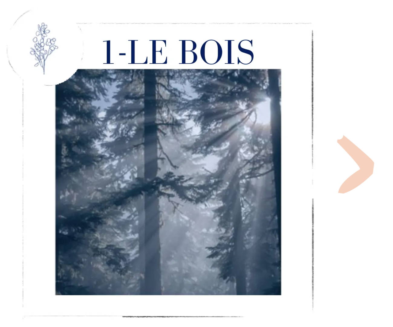 Nêge Paris - Les étapes pour obtenir du Tencel
