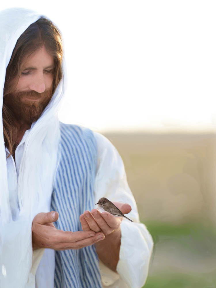 Jesus holding a small sparrow in His hand.