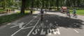 Cyclists riding in Central Park bike lanes