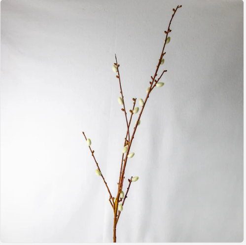 Willow Branch - Realistic Artificial Flowers - Image 3