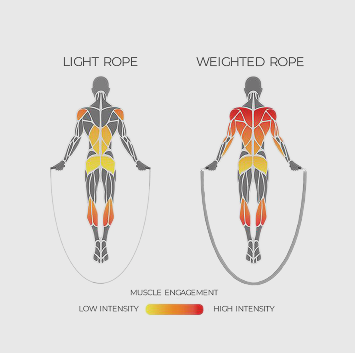 RhinoRope Weighted Jump Rope - Total Workout