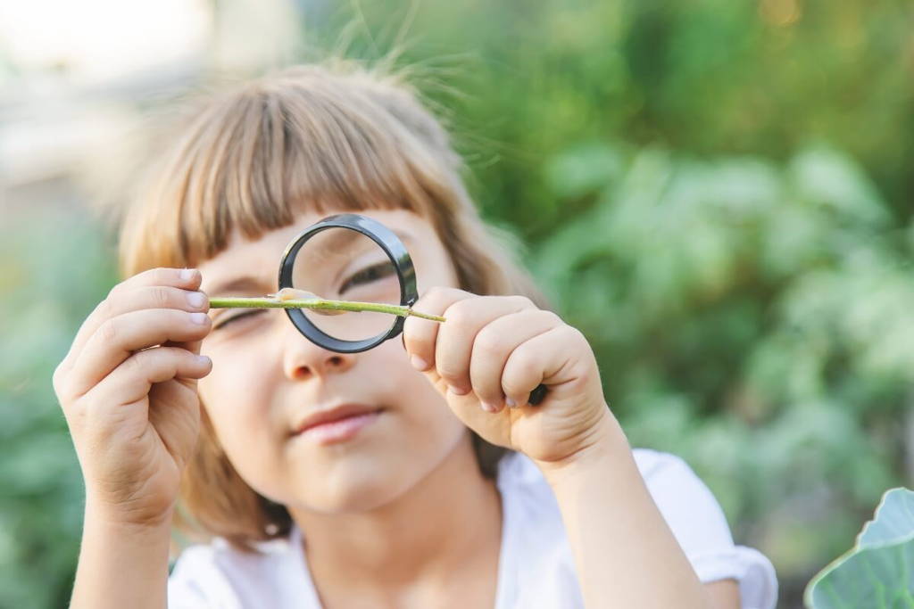 Enfant curieux examinant une tige de plante avec une loupe dans un environnement extérieur verdoyant.