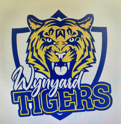 Wynyard and Districts Cricket Club Cricket Club Logo