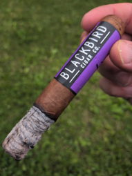Nice ash
