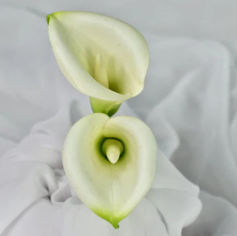 White Buttonhole Calla Lily -Realistic Artificial Flowers - Image 4
