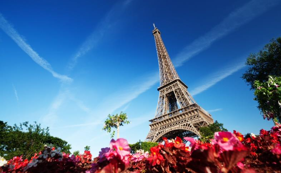 Thee Paris Collection story