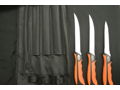 Filet Knives with Case