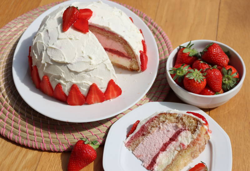 ズコットケーキとは