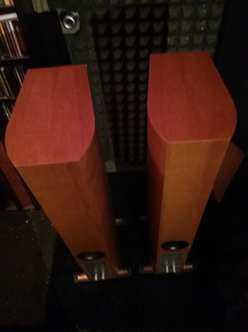 Audio Physics Tempo 5 Cherry wood finish