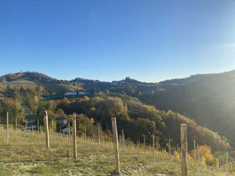 Cooking classes Cassinasco: Let's cook ravioli al plin and tiramisu with Moscato d'Asti.