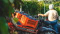tracteur viticole raisin