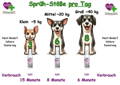 Angabe der Sprüher pro Tag und Hundegröße
