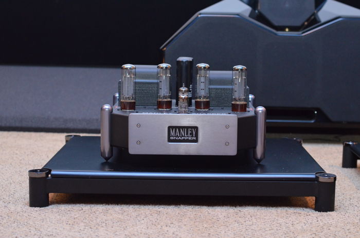 Manley Laboratories Snapper Monoblock Tube Amplifiers