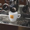 filicori zecchini caffe coffee biologico fairtrade espresso drip filtro v60 chemex capsule cialde arabica robusta modbar bologna centenario formazione corsi sca laboratorio te cioccolato 1919 2019