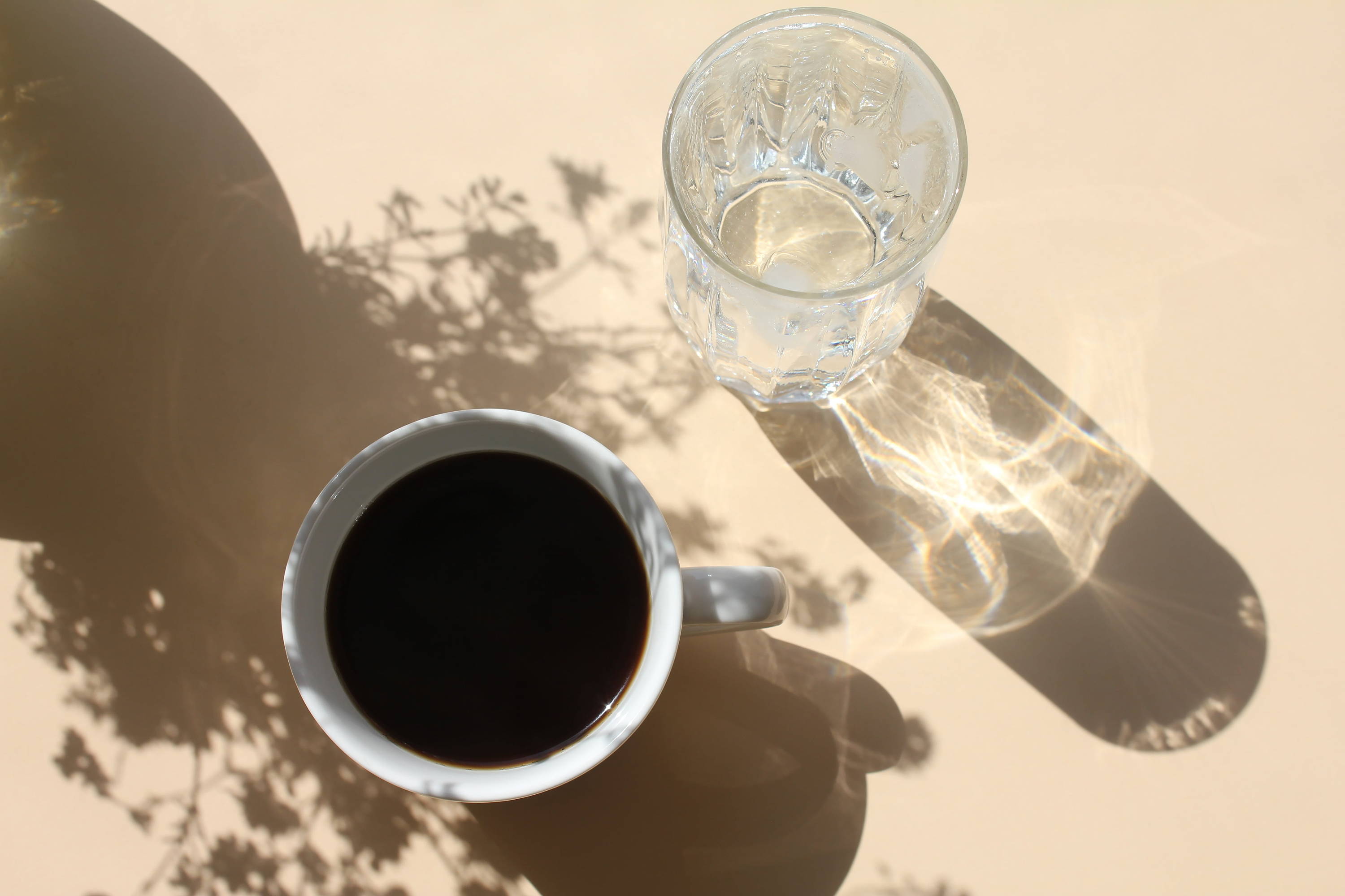 Animal collagen and plant based collagen drinks on a table in the sun 