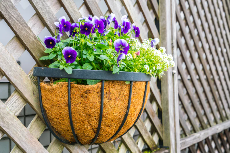 Planter on a trellis