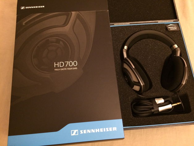 Sennheiser Electronics HD 700 Excellent Condition