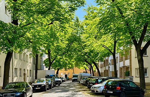  Berlin
- Lieblingskiez - Berlin Neukölln