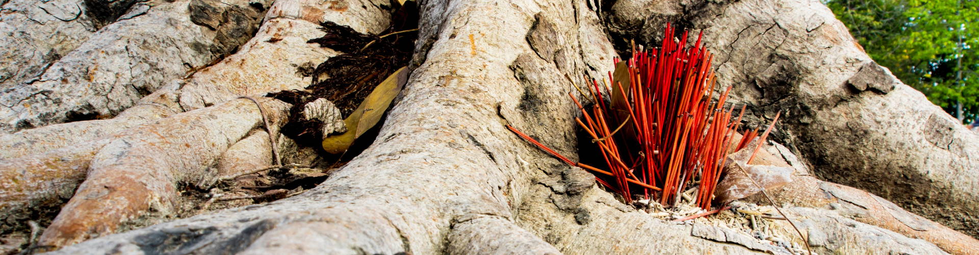roots for incense