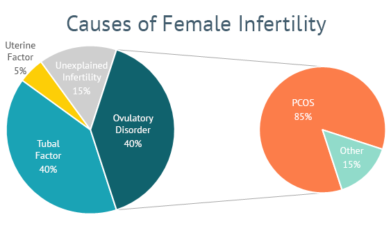 MTHFR and Fertility: A Link To PCOS