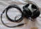 Audio Technica ATH-W 5000 Headphones + Black Dragon Cable 2