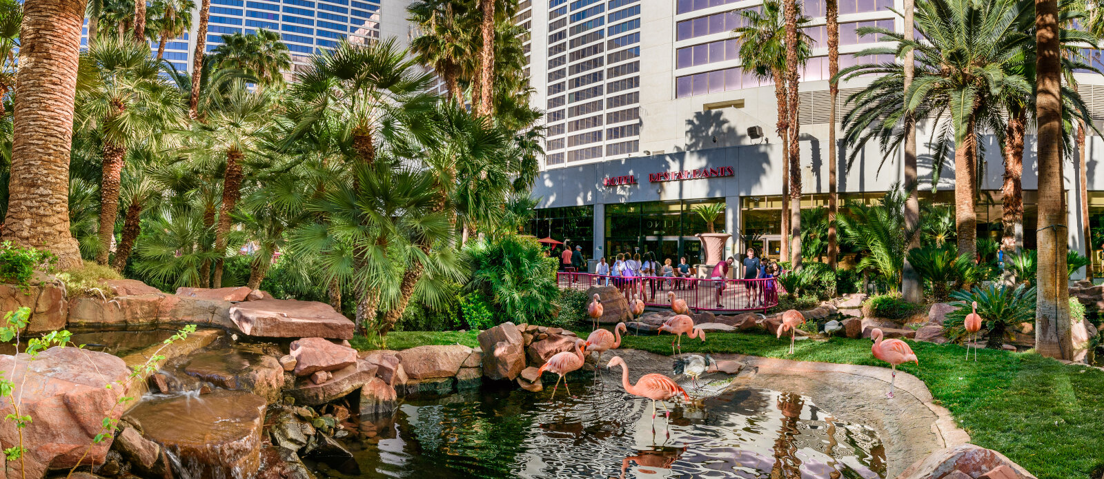 Flamingo Wildlife Habitat Uploaded on 2021-12-14