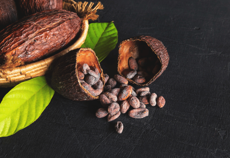 カカオ豆産地