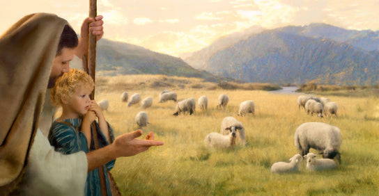 Jesus showing a young boy a field of sheep.