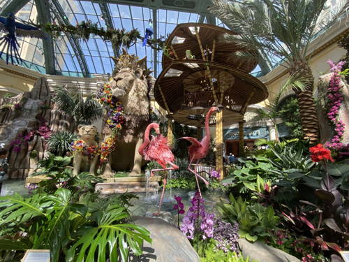 Bellagio Conservatory & Botanical Gardens submitted by VegasLife on 7/28/2022
