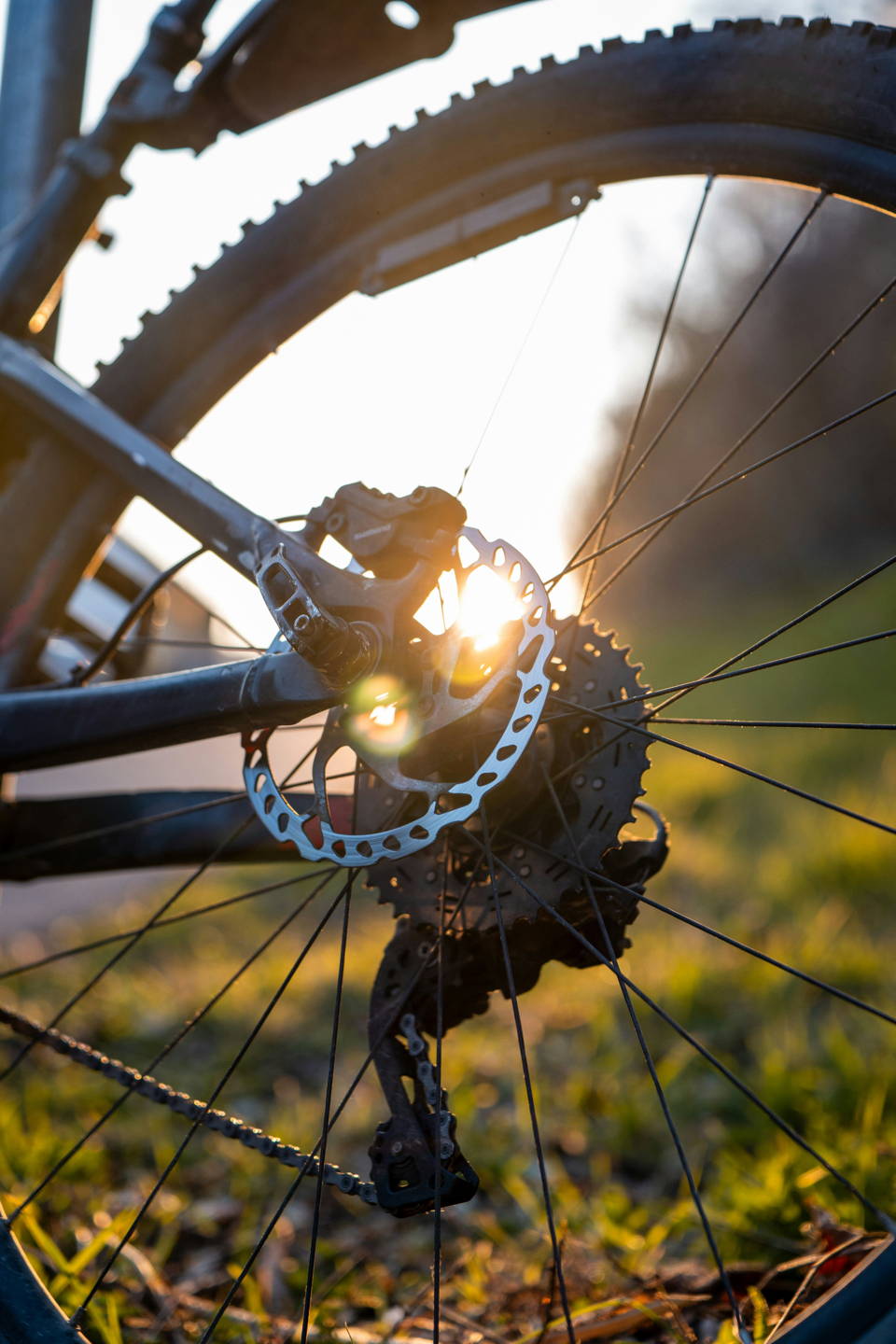 mountain bike elettrica