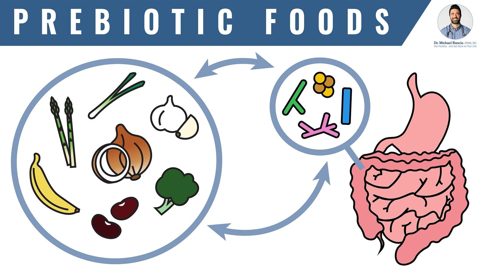 Gut-Healing Foods: Support Your Gut Microbiota Through Diet -