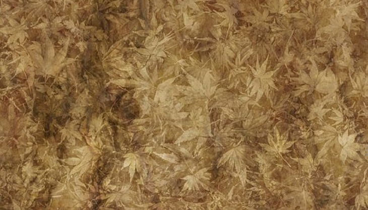 sdp viele blätter px