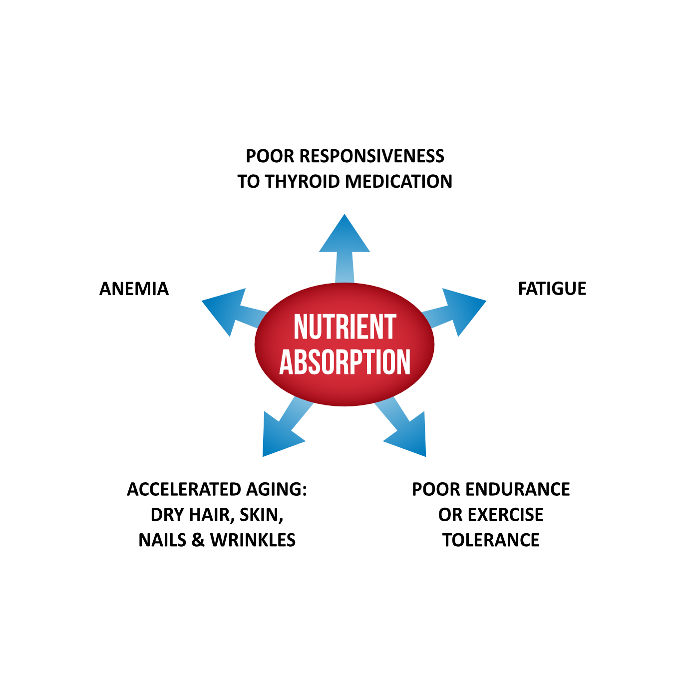 Why Take Probiotics? -