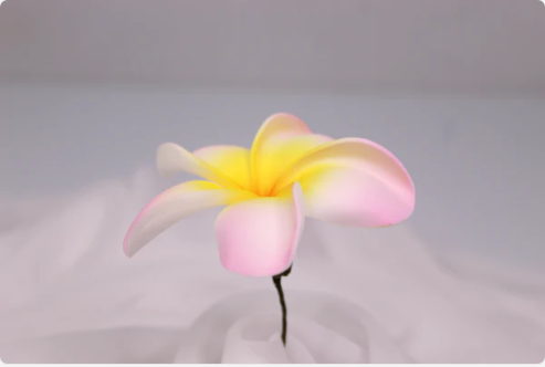 Soft Pink and Yellow Frangipani Real Touch (6 Pack) - Realistic Artificial Flowers - Image 3