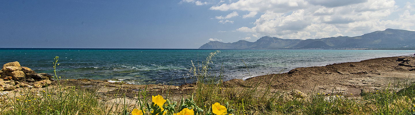  Pollensa
- properties on the coast of Majorca to buy