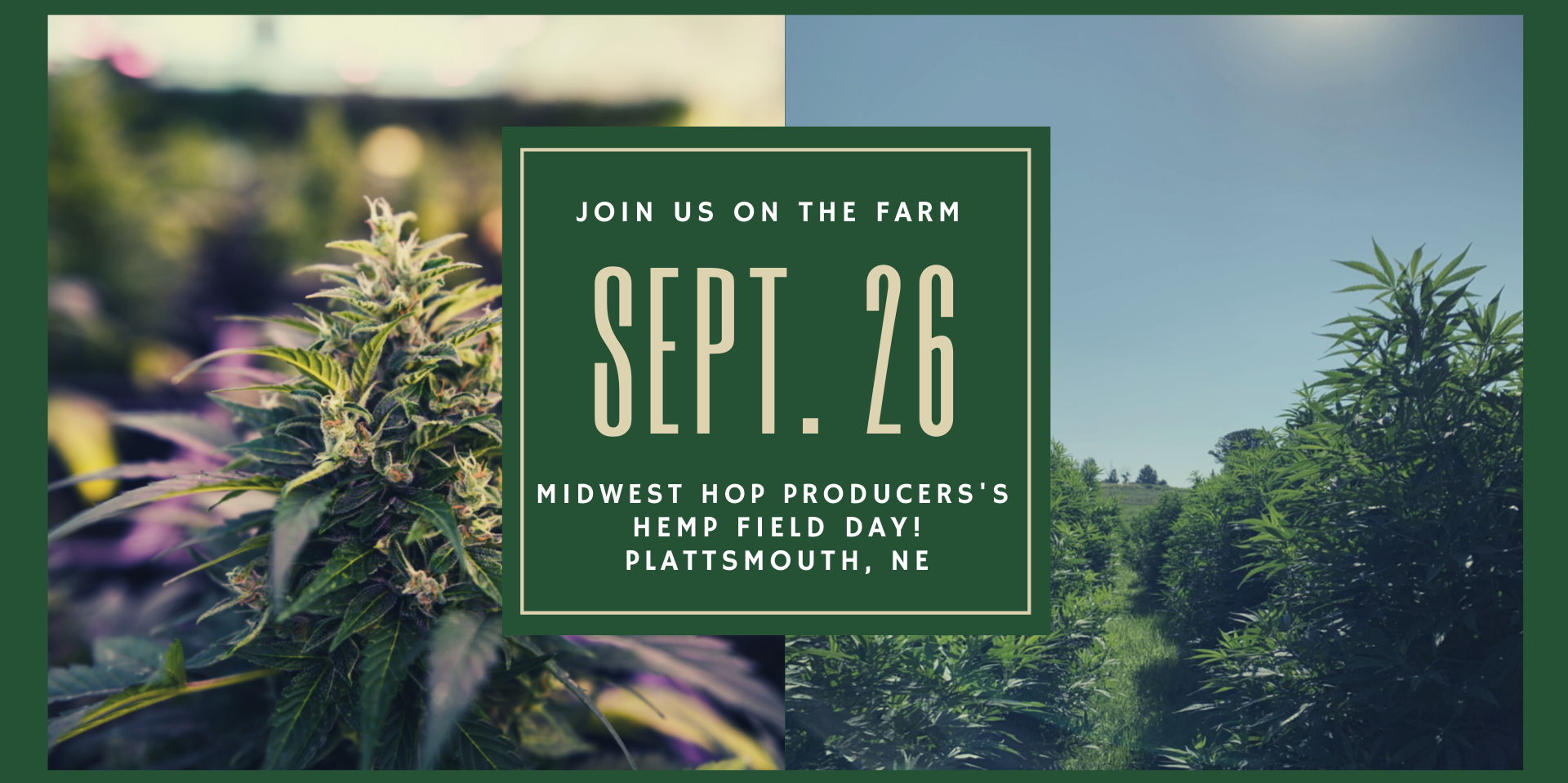 Hemp Field Day at Midwest Hop Producers! promotional image
