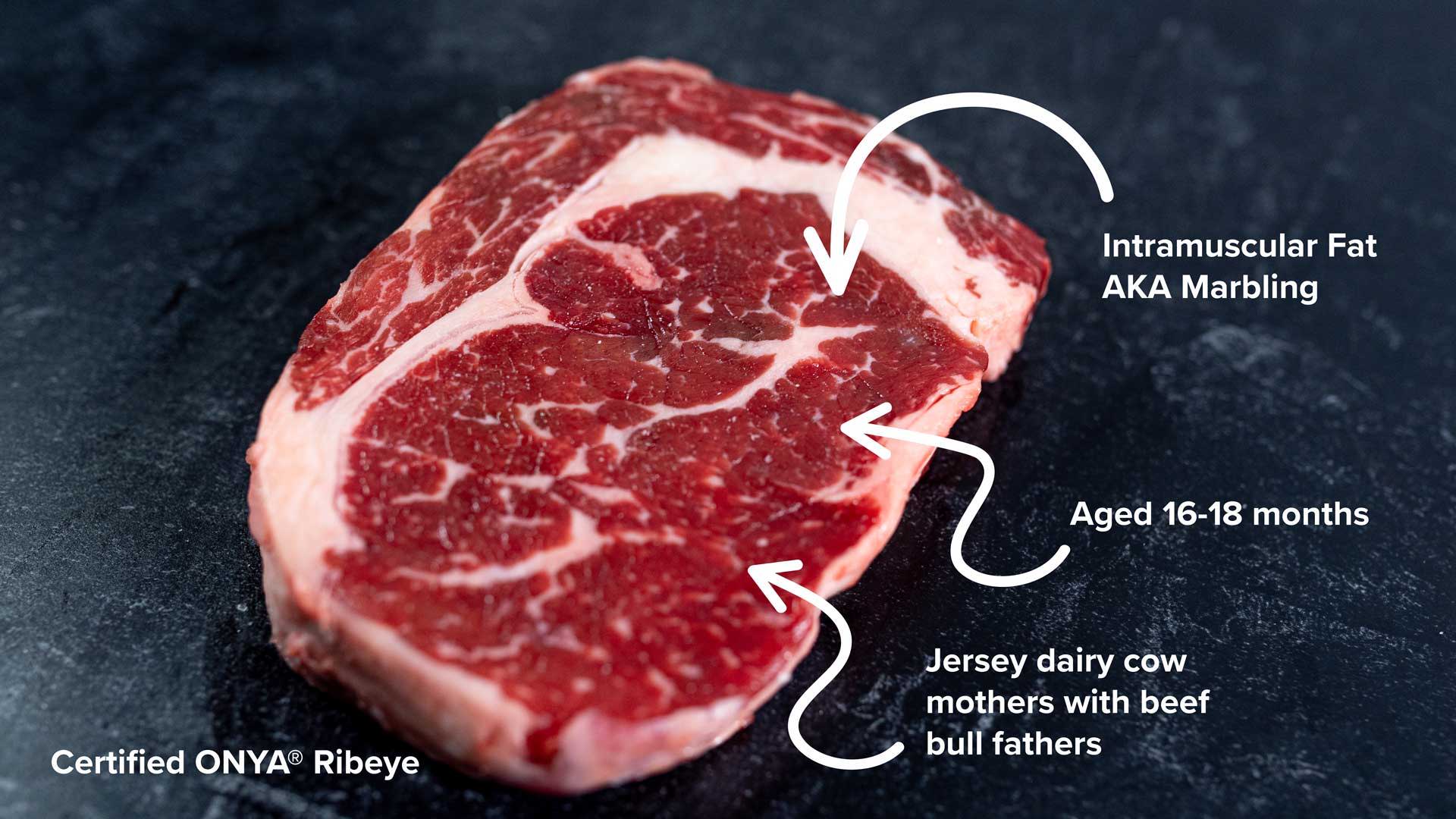 BetterFed Beef Certified ONYA® beef ribeye steak with better intramuscular fat AKA marbling. Every bit as tender as Wagyu at a fraction of the price