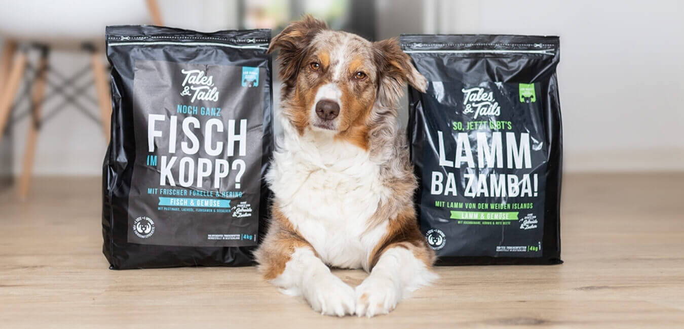 Trockenfutter für Hunde