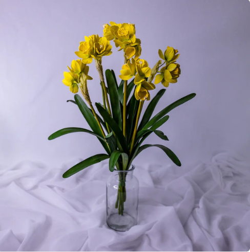 Narcissus/Jonquils - Realistic Artificial Flowers - Image 4