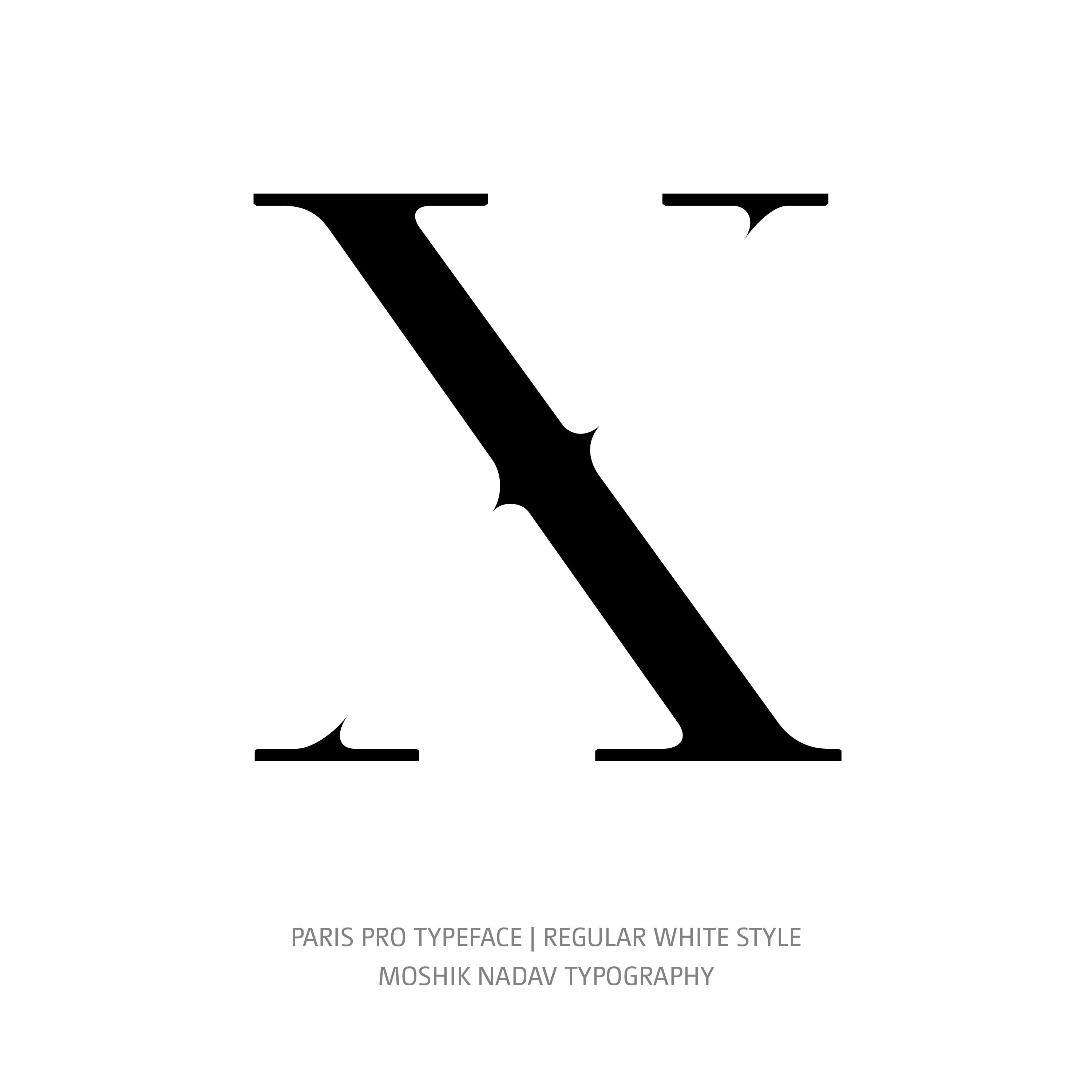 Paris Pro Typeface Regular White X