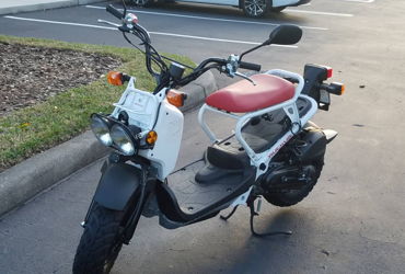 2017 HONDA RUCKUS motorcycle for rent near Tampa, Florida