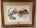 Framed Print Out on a Limb by Katie Cundiff